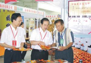 原安陽(yáng)市市長(zhǎng)董永安、副市長(zhǎng)陳明今到公司調(diào)研